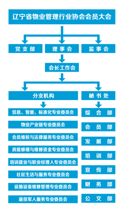 协会组织架构